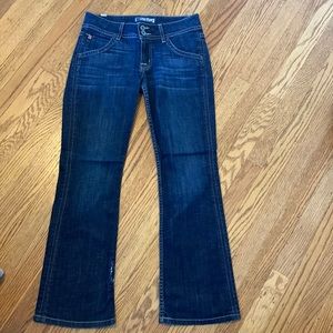 Hudson Flared Jeans